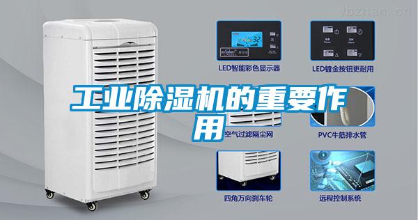 工业草莓视频APP在线观看的重要作用