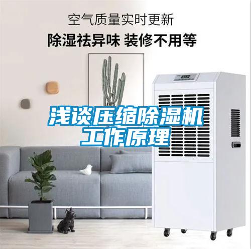 浅谈压缩草莓视频APP在线观看工作原理