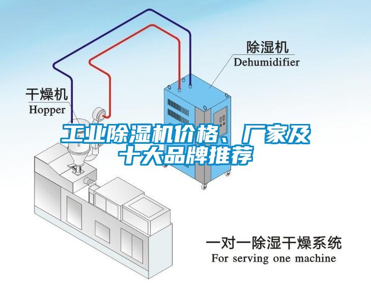 工业草莓视频APP在线观看价格、厂家及十大品牌推荐