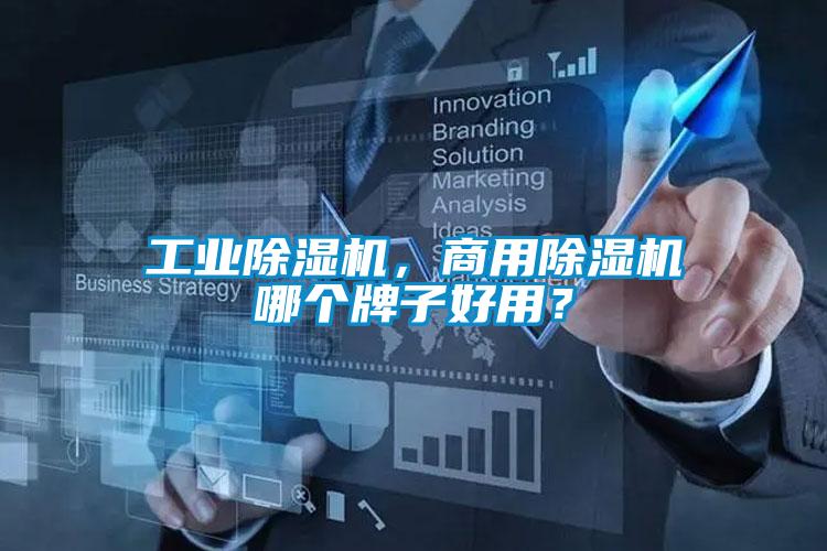 工业草莓视频APP在线观看，商用草莓视频APP在线观看哪个牌子好用？