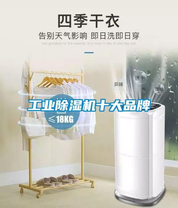 工业草莓视频APP在线观看十大品牌