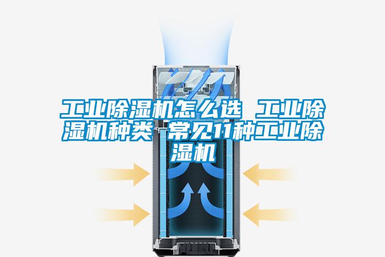 工业草莓视频APP在线观看怎么选 工业草莓视频APP在线观看种类 常见11种工业草莓视频APP在线观看