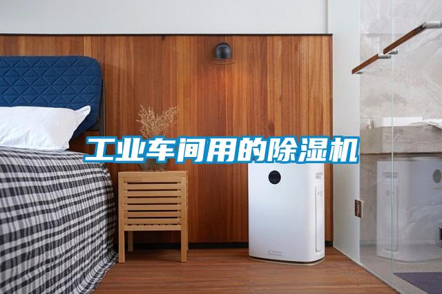 工业车间用的草莓视频APP在线观看