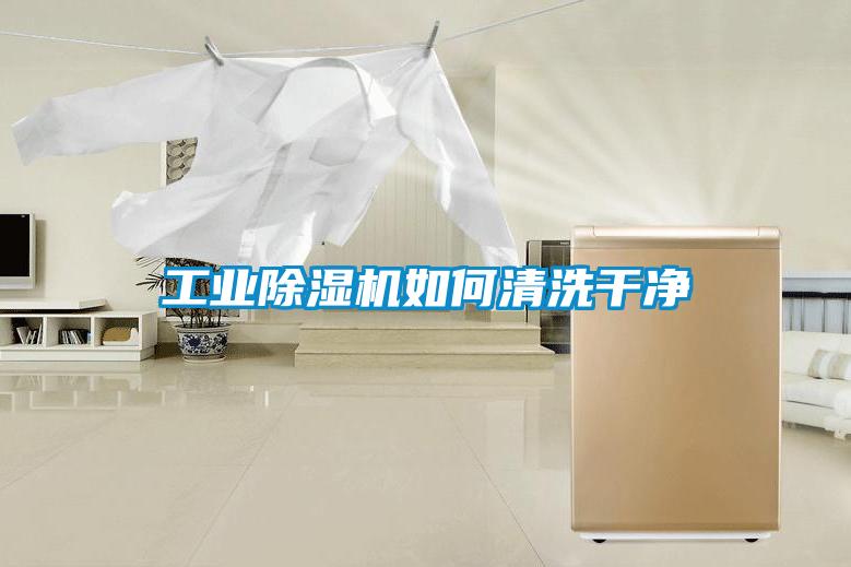工业草莓视频APP在线观看如何清洗干净