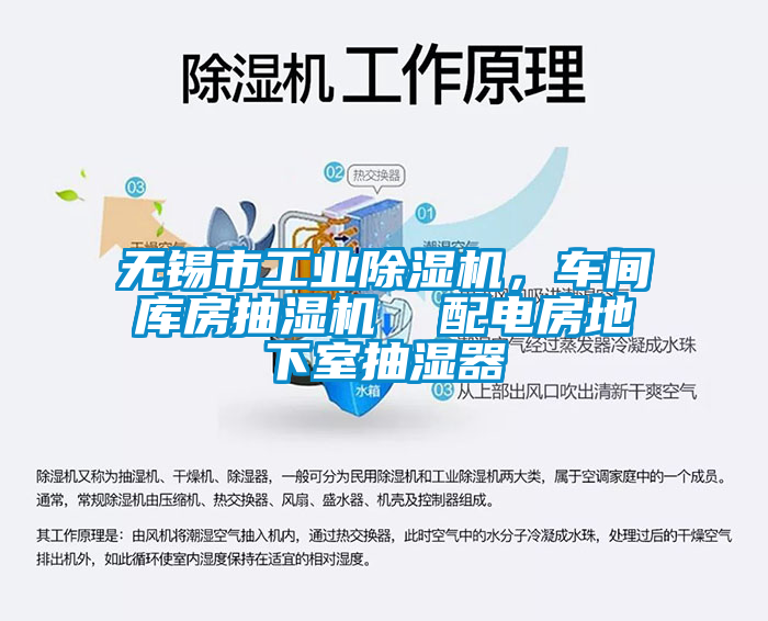 无锡市工业草莓视频APP在线观看，车间库房抽湿机  配电房地下室抽湿器