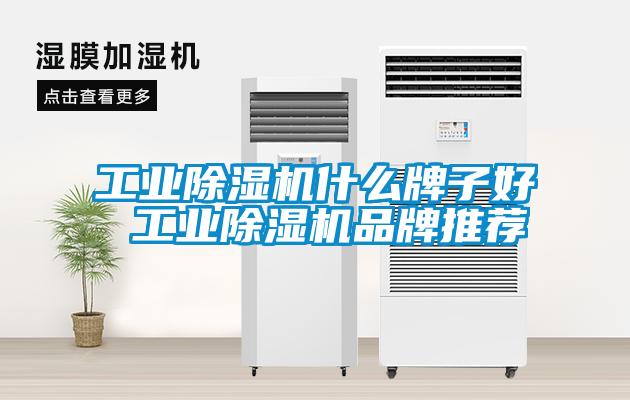 工业草莓视频APP在线观看什么牌子好 工业草莓视频APP在线观看品牌推荐