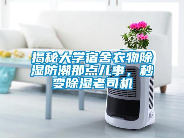 揭秘大学宿舍衣物除湿防潮那点儿事，秒变除湿老司机