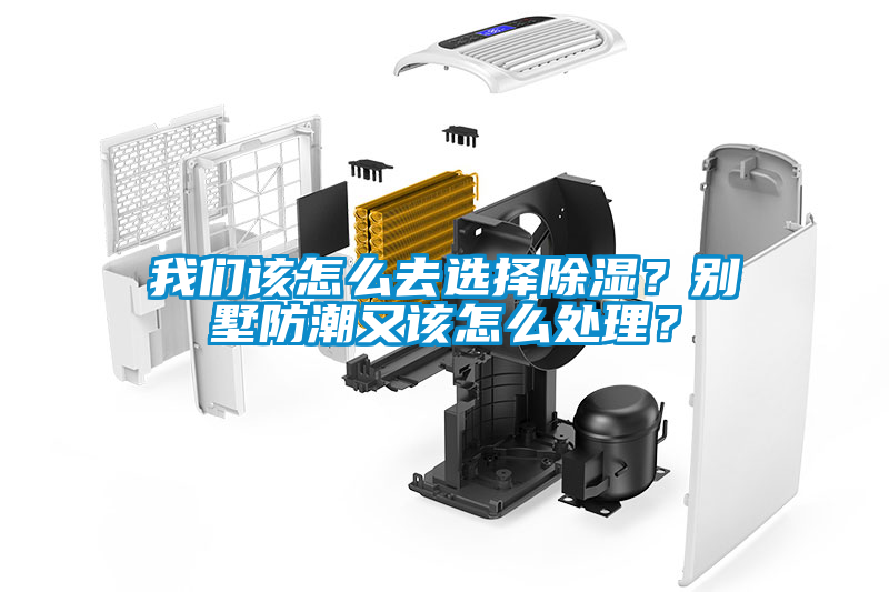 草莓视频污污版该怎么去选择除湿？别墅防潮又该怎么处理？