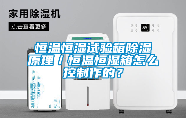 恒温恒湿试验箱除湿原理／恒温恒湿箱怎么控制作的？