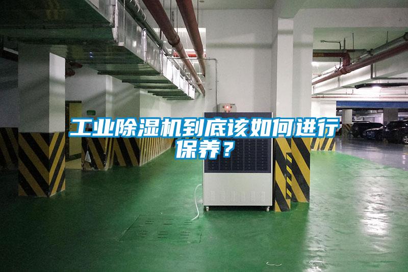 工业草莓视频APP在线观看到底该如何进行保养？