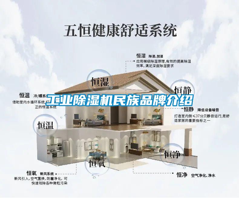 工业草莓视频APP在线观看民族品牌介绍