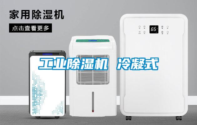 工业草莓视频APP在线观看 冷凝式