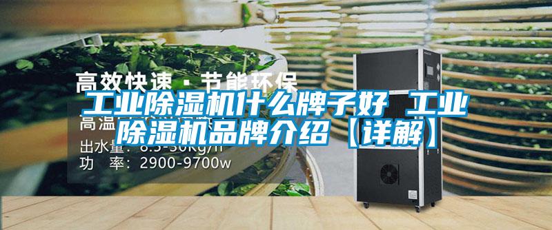 工业草莓视频APP在线观看什么牌子好 工业草莓视频APP在线观看品牌介绍【详解】