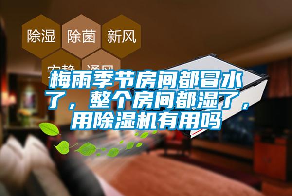 梅雨季节房间都冒水了，整个房间都湿了，用草莓视频APP在线观看有用吗