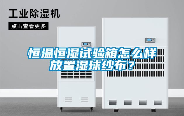 恒温恒湿试验箱怎么样放置湿球纱布？