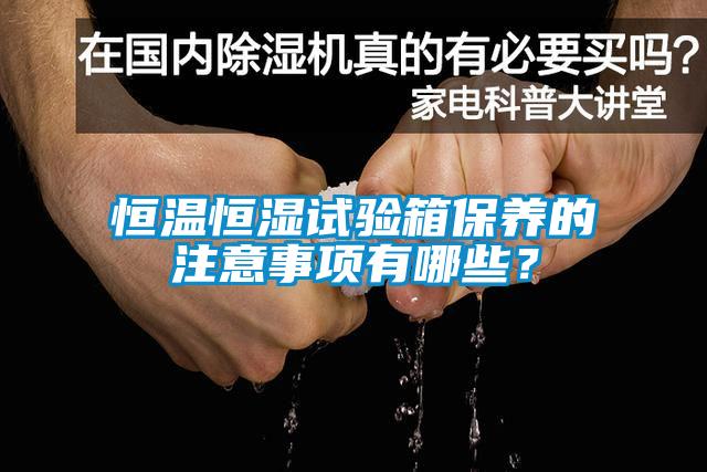 恒温恒湿试验箱保养的注意事项有哪些？