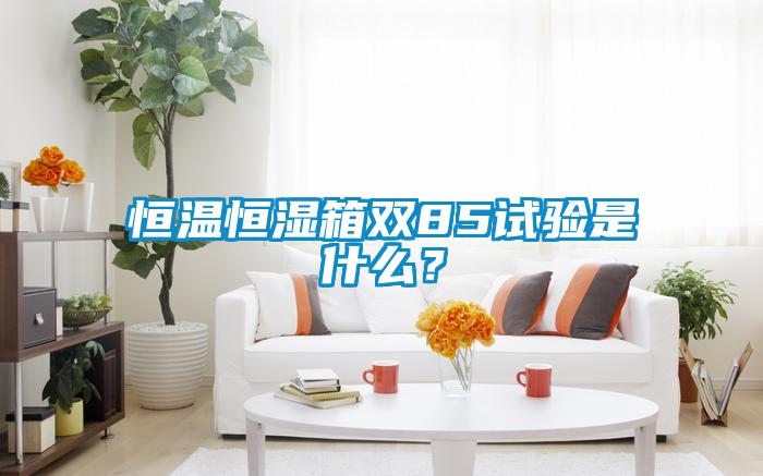 恒温恒湿箱双85试验是什么？