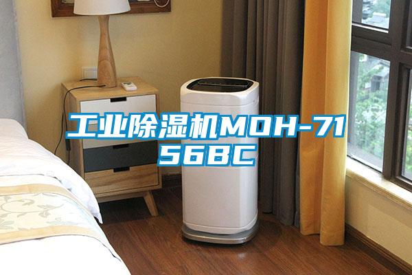 工业草莓视频APP在线观看MOH-7156BC