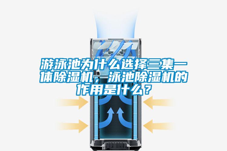 游泳池为什么选择三集一体草莓视频APP在线观看，泳池草莓视频APP在线观看的作用是什么？