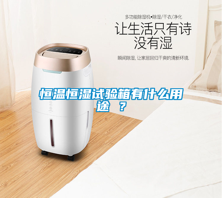 恒温恒湿试验箱有什么用途 ？