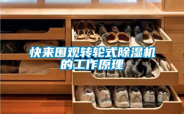 快来围观转轮式草莓视频APP在线观看的工作原理