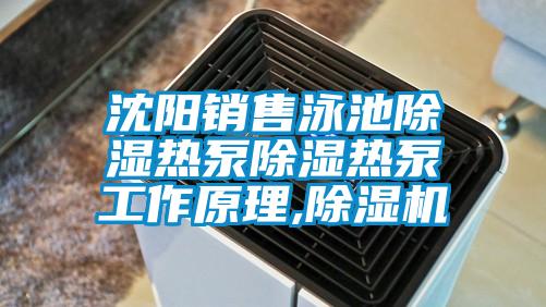 沈阳销售泳池除湿热泵除湿热泵工作原理,草莓视频APP在线观看