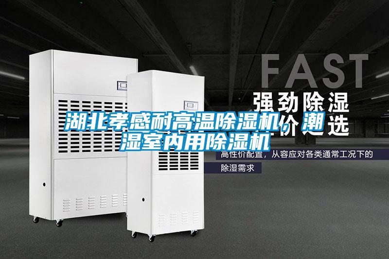 湖北孝感耐高温草莓视频APP在线观看，潮湿室内用草莓视频APP在线观看