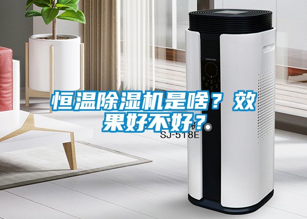 恒温草莓视频APP在线观看是啥？效果好不好？