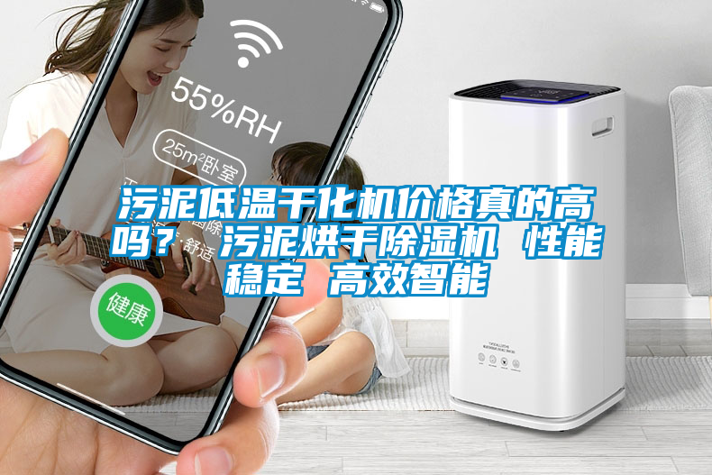 污泥低温干化机价格真的高吗？ 污泥烘干草莓视频APP在线观看 性能稳定 高效智能