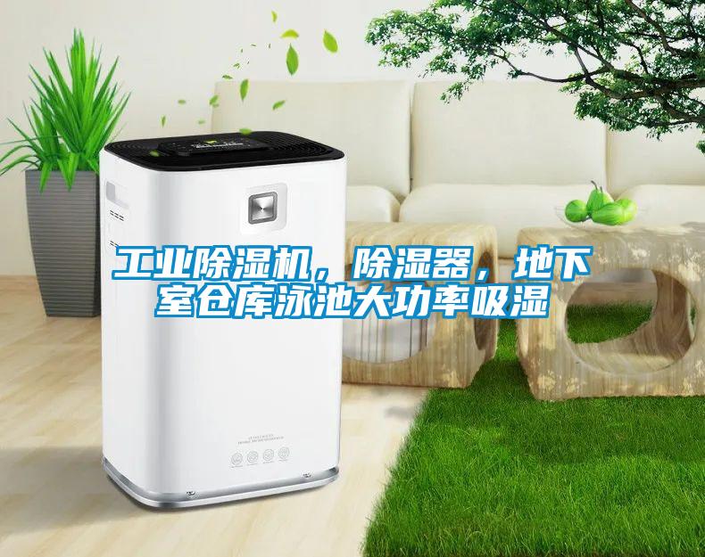 工业草莓视频APP在线观看，除湿器，地下室仓库泳池大功率吸湿