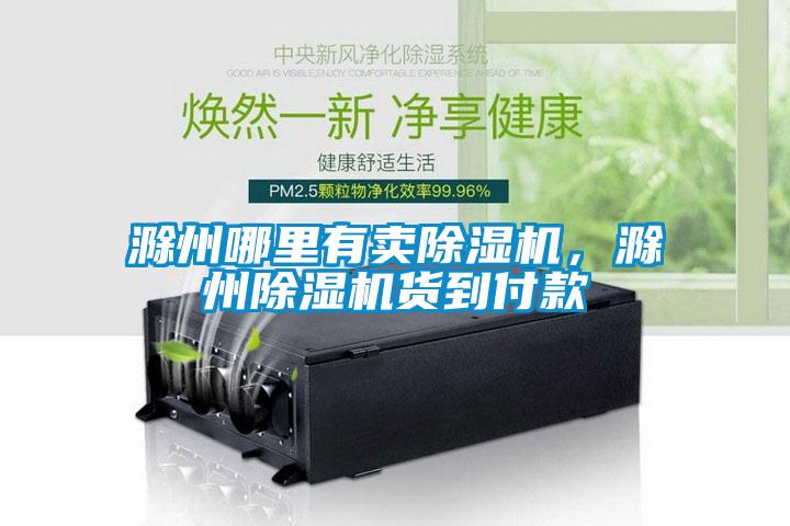 滁州哪里有卖草莓视频APP在线观看，滁州草莓视频APP在线观看货到付款
