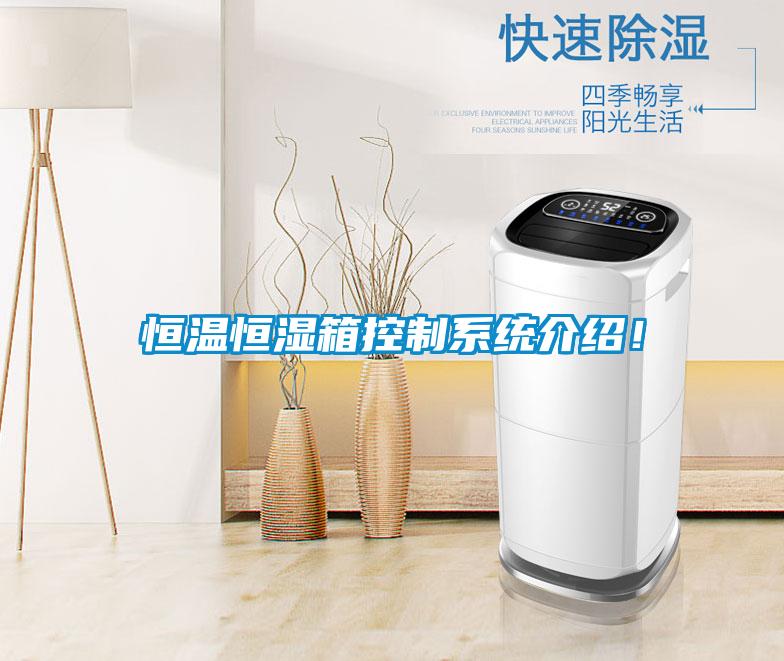 恒温恒湿箱控制系统介绍！
