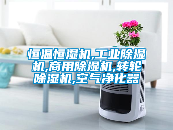 恒温恒湿机,工业草莓视频APP在线观看,商用草莓视频APP在线观看,转轮草莓视频APP在线观看,空气净化器