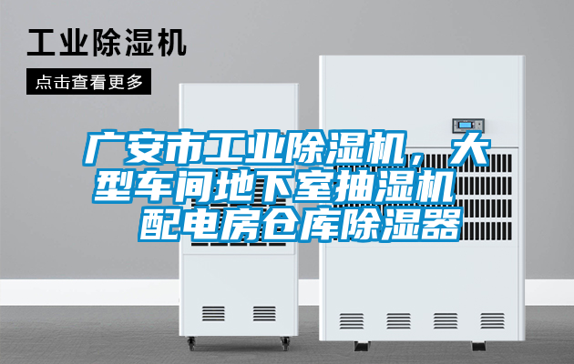 广安市工业草莓视频APP在线观看，大型车间地下室抽湿机  配电房仓库除湿器