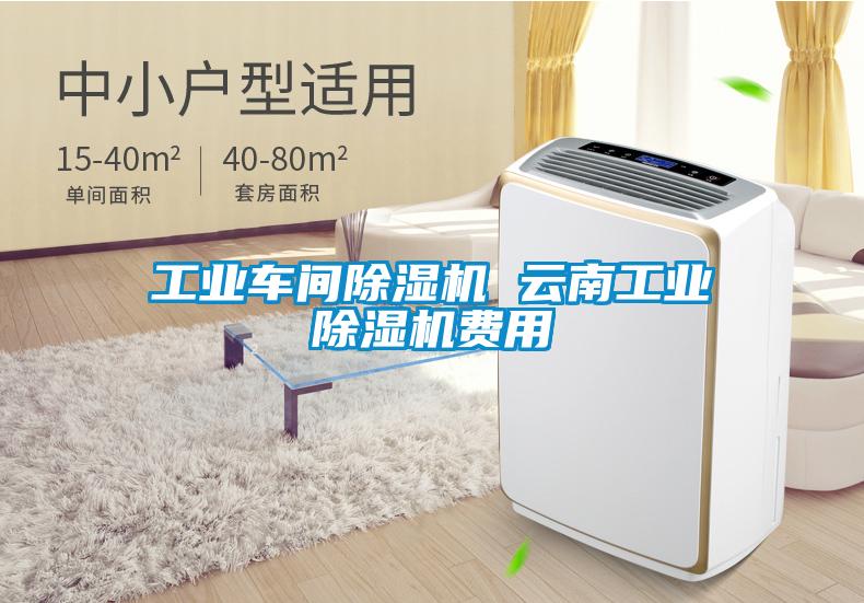 工业车间草莓视频APP在线观看 云南工业草莓视频APP在线观看费用