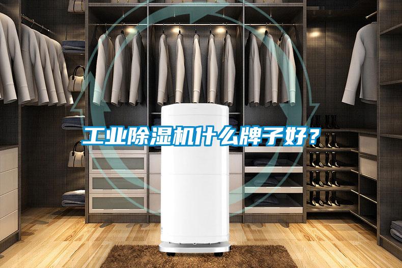 工业草莓视频APP在线观看什么牌子好？