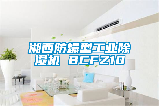 湘西防爆型工业草莓视频APP在线观看 BCFZ10
