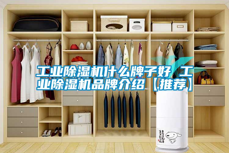 工业草莓视频APP在线观看什么牌子好 工业草莓视频APP在线观看品牌介绍【推荐】