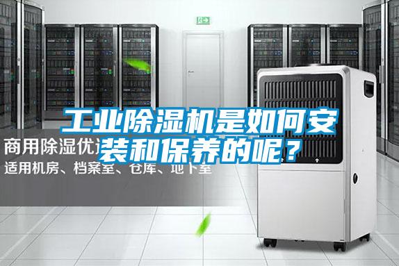 工业草莓视频APP在线观看是如何安装和保养的呢？