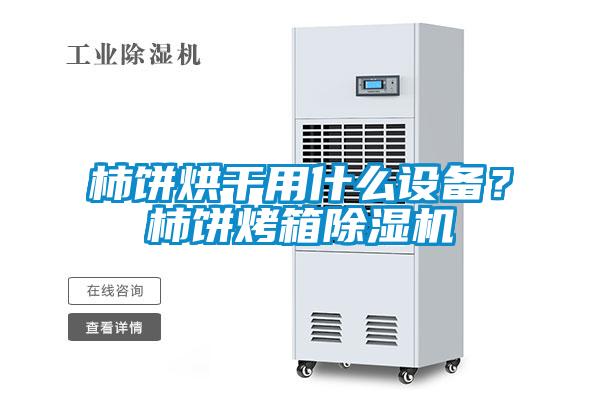 柿饼烘干用什么设备？柿饼烤箱草莓视频APP在线观看
