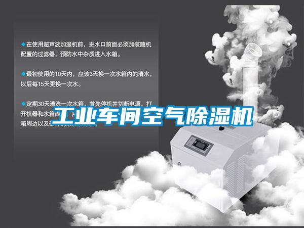 工业车间空气草莓视频APP在线观看
