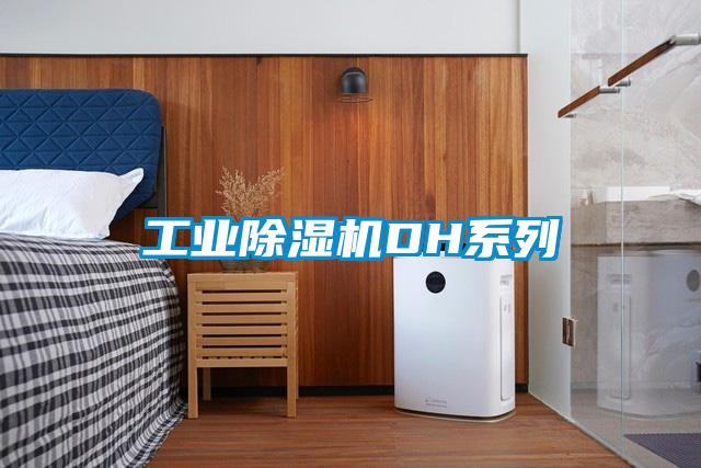 工业草莓视频APP在线观看DH系列