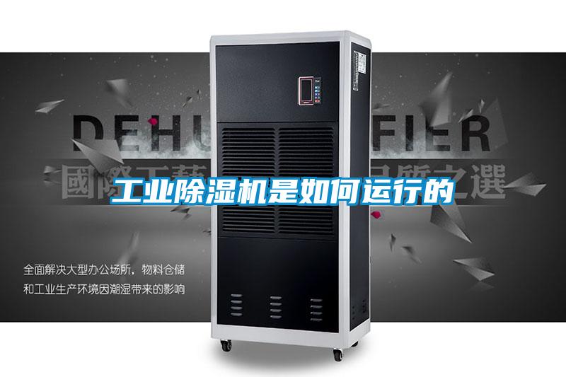 工业草莓视频APP在线观看是如何运行的