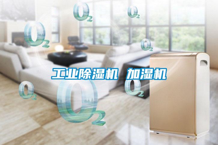 工业草莓视频APP在线观看 加湿机