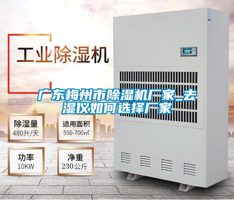 广东梅州市草莓视频APP在线观看厂家_去湿仪如何选择厂家