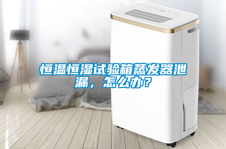 恒温恒湿试验箱蒸发器泄漏，怎么办？