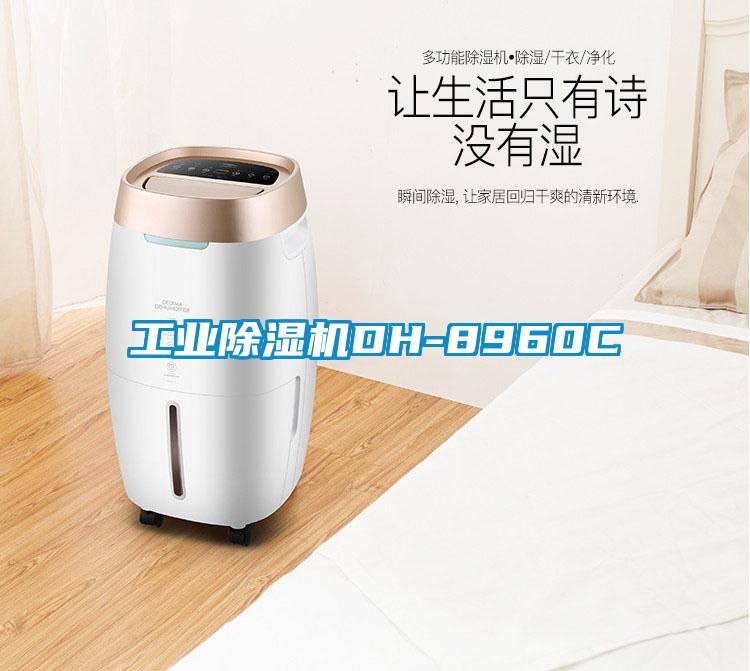 工业草莓视频APP在线观看DH-8960C