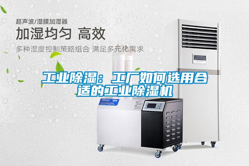 工业除湿：工厂如何选用合适的工业草莓视频APP在线观看
