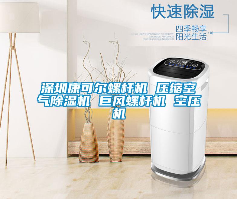 深圳康可尔螺杆机 压缩空气草莓视频APP在线观看 巨风螺杆机 空压机
