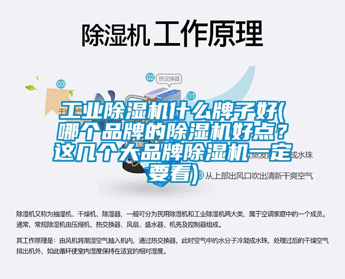 工业草莓视频APP在线观看什么牌子好(哪个品牌的草莓视频APP在线观看好点？这几个大品牌草莓视频APP在线观看一定要看)